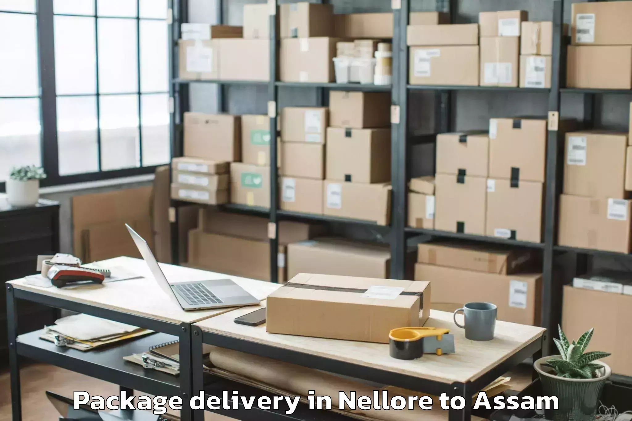 Reliable Nellore to Golakganj Package Delivery